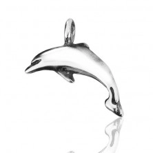 Silver pendant - glossy dolphin with patina