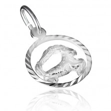 Pendant made of 925 silver - circle with sign of Capricorn