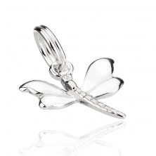 Silver pendant - dragonfly with shiny wings and segmented body