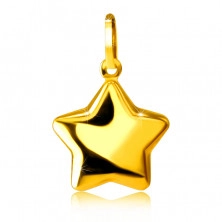 Pendant made of yellow 14K gold - rounded sparkling five-pointed star