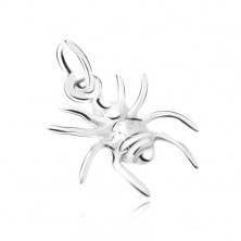 Silver 925 pendant, spider