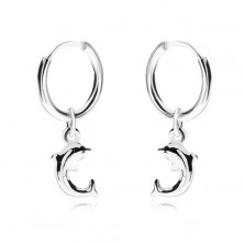 Earrings made of 925 silver, shiny smooth ring, dolphin