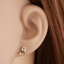 585 gold earrings with clear diamond - teardrop contours, widened strip made of white gold