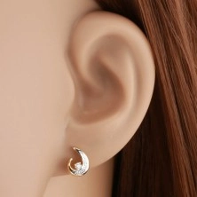 585 gold earrings - partial bicoloured teardrop contour, round clear diamond