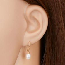 Earrings made of yellow 14K gold - white oval pearl on hook