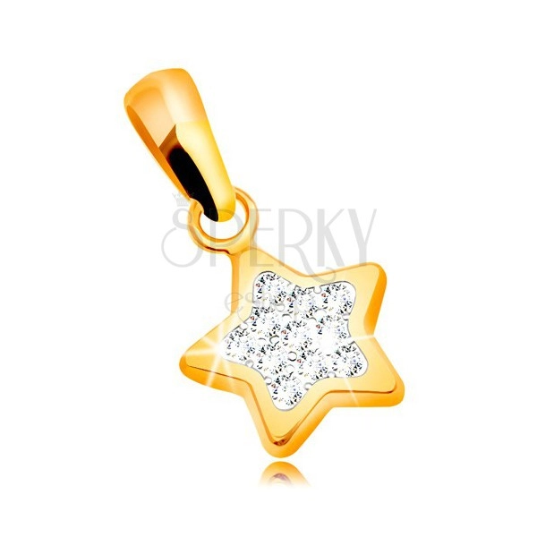 Pendant made of yellow 585 gold - lustrous five-point star, clear zircons