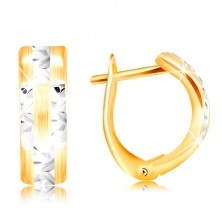14k gold earrings – matt arc with shiny lines made of white gold 