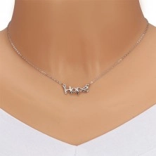 925 silver necklace - glittery chain, inscription "Hope" with diamond line