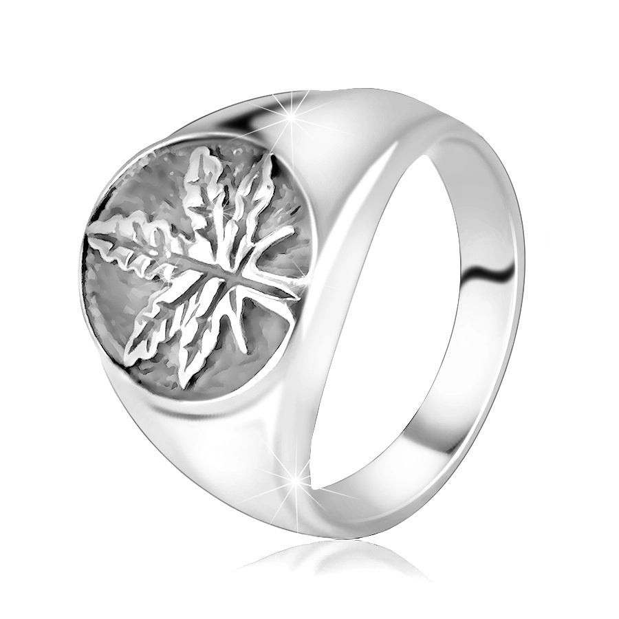 Robust 925 silver ring – cannabis leaf in a ring with patina