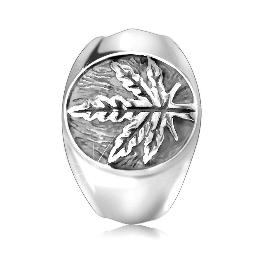 Robust 925 silver ring – cannabis leaf in a ring with patina