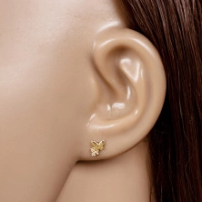 Brilliant earrings made of yellow gold 585 -full mirror-polished butterfly, round clear diamonds, studs