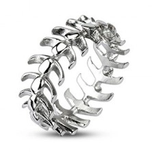 Vertebral bones stainless steel ring