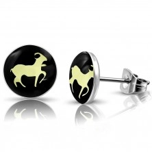 Surgical steel earrings with zodiac sign - Capricorn