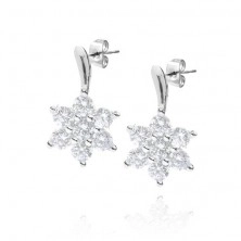 Silver stud earrings - clear zircon flower on peduncle