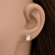 Silver earrings - sparkling zircon, rectangle with double fastening